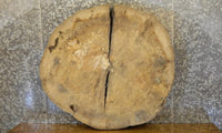 Thumbnail for Natural Edge Round Cut Ash Sofa/End Table Top Slab CLOSEOUT 20857