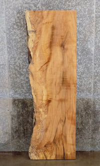 Thumbnail for Partial Live Edge Maple Sofa/Coffee Table Wood Slab CLOSEOUT 34