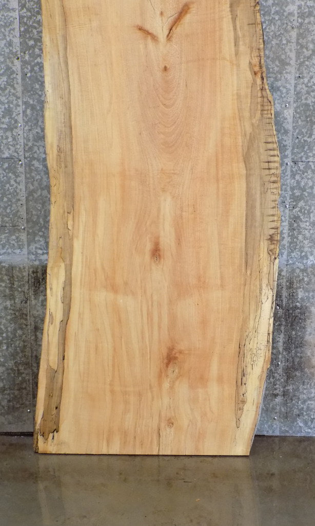 Live Edge Salvaged Spalted Maple Bar/Desk/Table Top Slab 42060