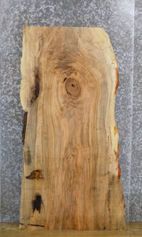 Thumbnail for Live Edge Spalted Maple Coffee Table/Desk Top Wood Slab 42114