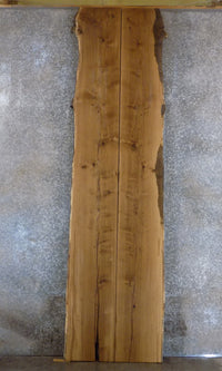 Thumbnail for 2- Live Edge Bookmatched White Oak Conference Table Top Slabs 45000-45001
