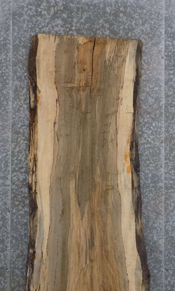 Rustic Live Edge Spalted Maple Dining/Kitchen Table Top Slab 45012