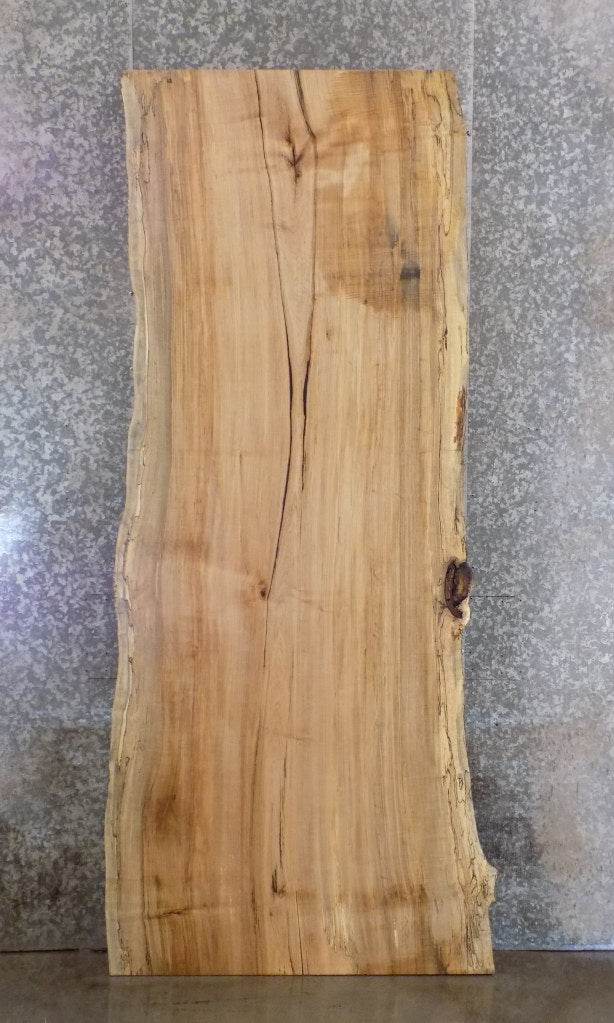 Live Edge Salvaged Spalted Maple Reception Table/Desk Top Slab 45016