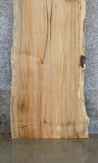 Thumbnail for Live Edge Salvaged Spalted Maple Reception Table/Desk Top Slab 45016
