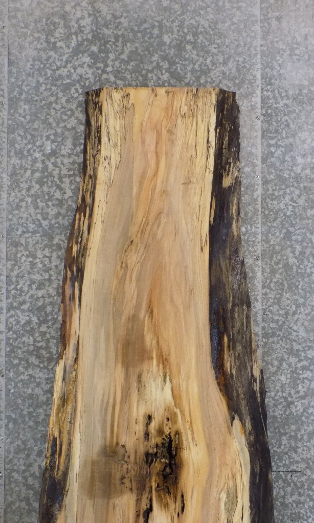 Natural Edge Salvaged Spalted Maple Bar/Table Top Wood Slab 45032