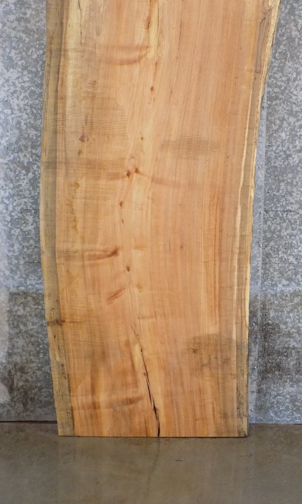 Reclaimed Natural Edge Spalted Maple Desk/Table Top Slab 45077