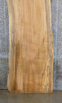 Thumbnail for Rustic Live Edge Spalted Maple Office Desk/Table Top Slab 45081