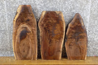 Thumbnail for 3- Salvaged Live Edge Black Walnut DIY Charcuterie Boards/Slabs 5036-5038