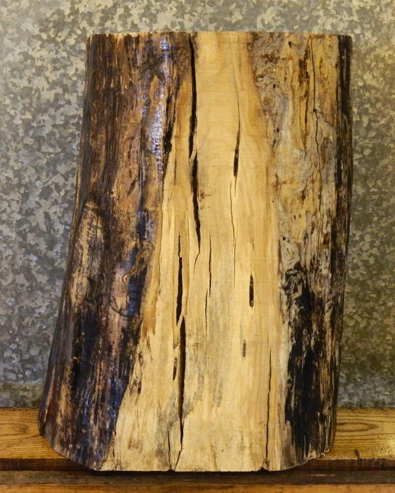 Spalted Maple Natural Edge Pedastal Base/Small Log CLOSEOUT 8555