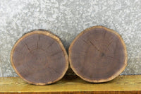 Thumbnail for 2- Rustic Round Cut Live Edge Black Walnut Slabs CLOSEOUT 12082-12083