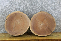Thumbnail for 2- Rustic Round Cut Live Edge Black Walnut Slabs CLOSEOUT 12082-12083
