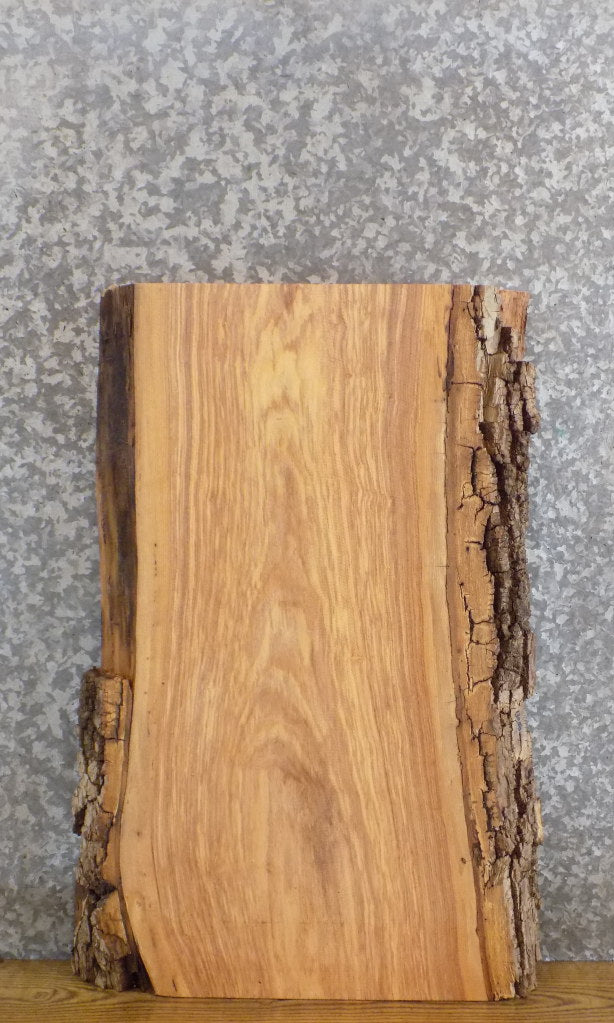 Rustic Live Edge Bark Ash Sofa/Coffee Table Top Wood Slab 13050