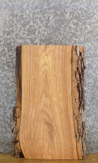 Thumbnail for Rustic Live Edge Bark Ash Sofa/Coffee Table Top Wood Slab 13050