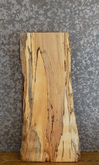 Thumbnail for Rustic Natural Edge Spalted Maple End/Side Table Top Slab 13061