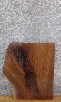 Thumbnail for Partial Live Edge Black Walnut Rustic End/Side Table Top Slab 13320