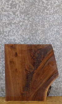 Thumbnail for Black Walnut Rustic Partial Live Edge Entry/End Table Top Slab 13321
