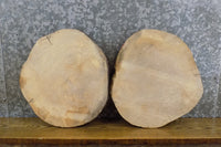 Thumbnail for 2- Live Edge Salvaged Round Cut Ash DIY Charcuterie Boards/Slabs 15573-15574