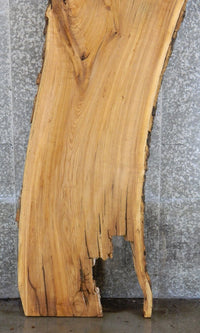 Thumbnail for Live Edge Bark Ash Bar/Kitchen Table Top Wood Slab CLOSEOUT 20482
