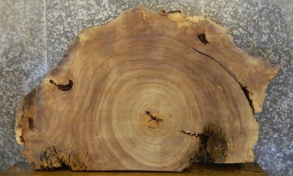 Partial Live Edge Oval Cut Cottonwood Table Slab CLOSEOUT 20771