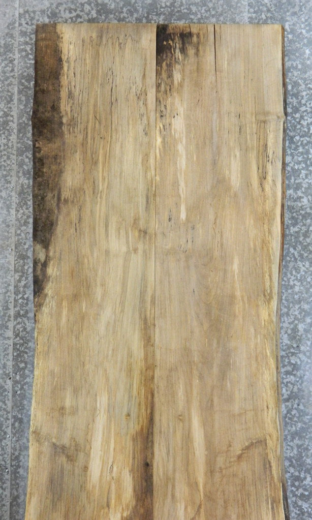 2- Natural Edge Spalted Maple Bookmatched Table Slabs CLOSEOUT 277-278