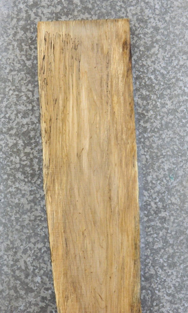 Natural Edge Spalted Maple Headborad/Bar Top Slab CLOSEOUT 299