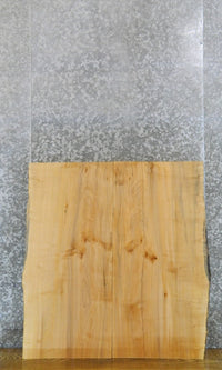 Thumbnail for 2- Live Edge Spalted Maple Bookmatched Desk/Table Slabs CLOSEOUT 39140-39141