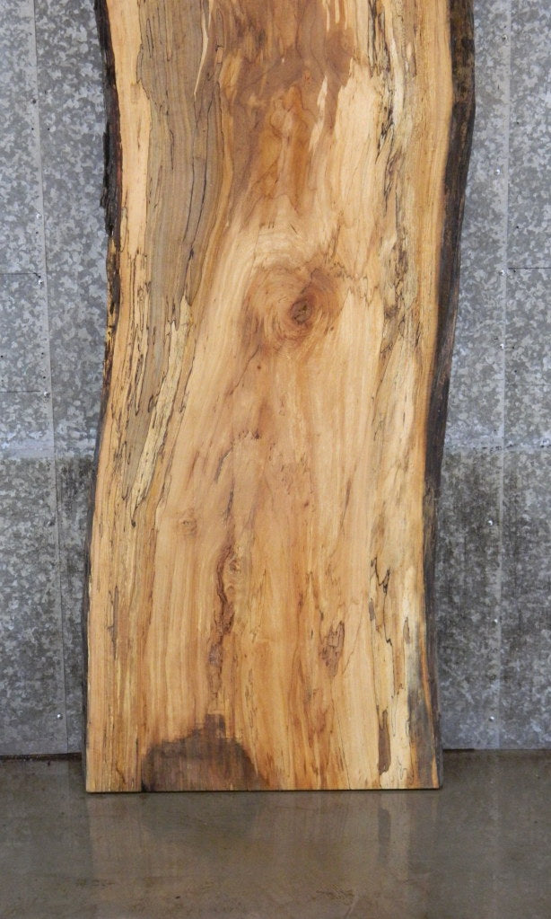Live Edge Spalted Maple Bar/Table Top Wood Slab CLOSEOUT 39250
