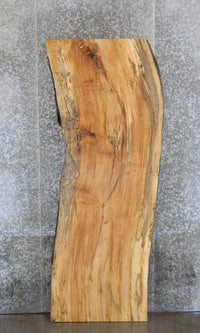 Thumbnail for Live Edge Spalted Maple Bar/Table Top Wood Slab CLOSEOUT 39251