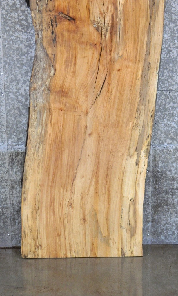 Live Edge Spalted Maple Bar/Table Top Wood Slab CLOSEOUT 39251