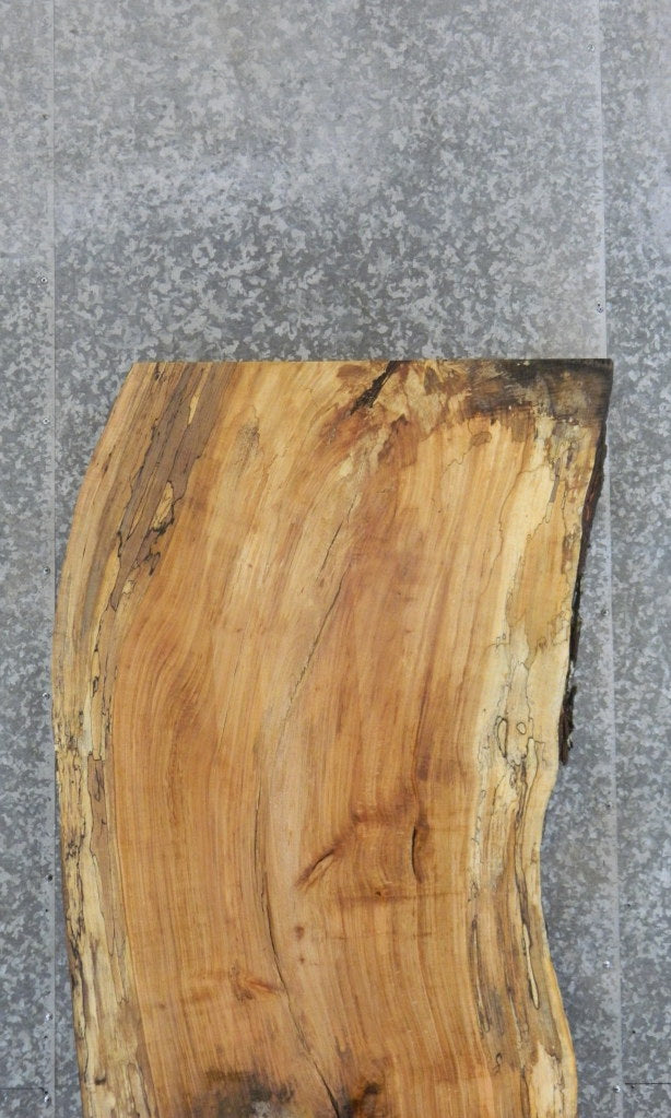 Live Edge Spalted Maple Bar/Table Top Wood Slab CLOSEOUT 39251