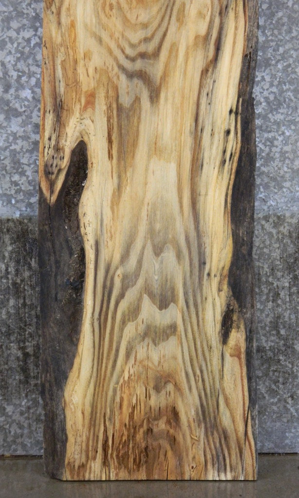 Locust Live Edge Sofa Table/Desk Top Wood Slab CLOSEOUT 39328