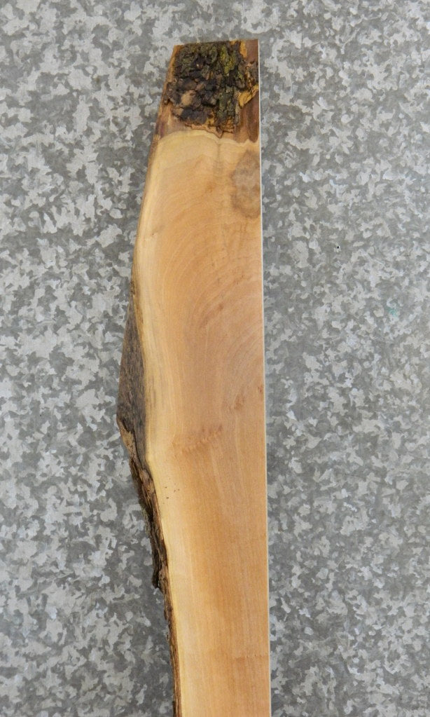 Rustic Partial Live Edge Bark Maple Mantel Wood Slab CLOSEOUT 40730