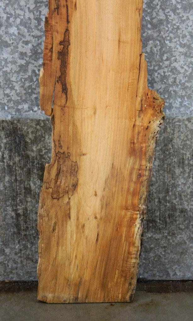 Live Edge Spalted Maple Epoxy Project Slab CLOSEOUT 4431