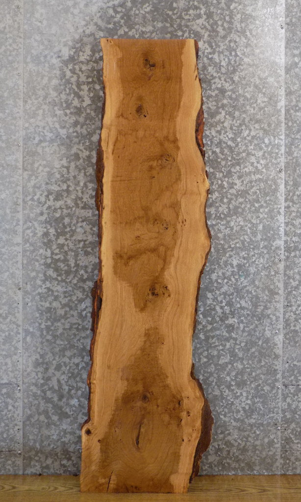 Rustic White Oak Live Edge Bark Accent/Sofa Table Top Slab 4545