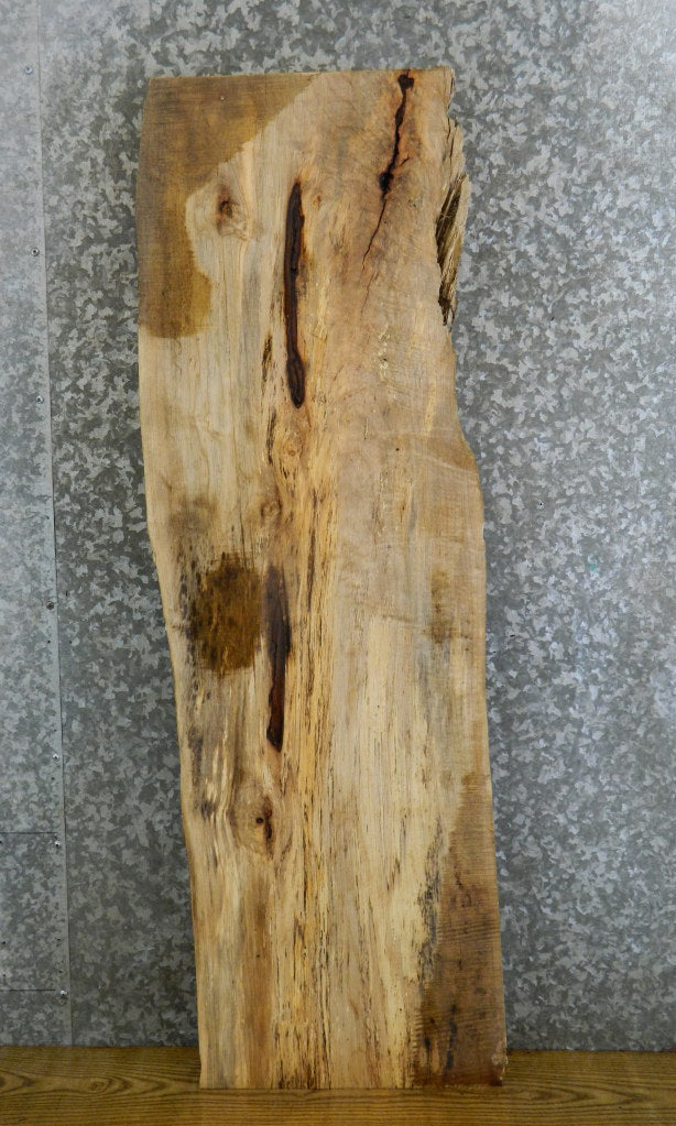 Spalted Maple Rustic Coffee/Sofa Table Top Slab CLOSEOUT 541