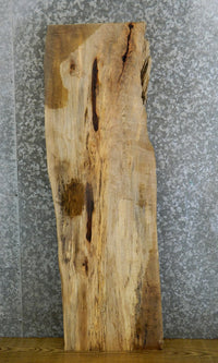 Thumbnail for Spalted Maple Rustic Coffee/Sofa Table Top Slab CLOSEOUT 541