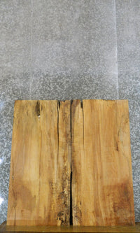 Thumbnail for 2- Bookmatched Spalted Maple Office Desk Top Slabs CLOSEOUT 595-596
