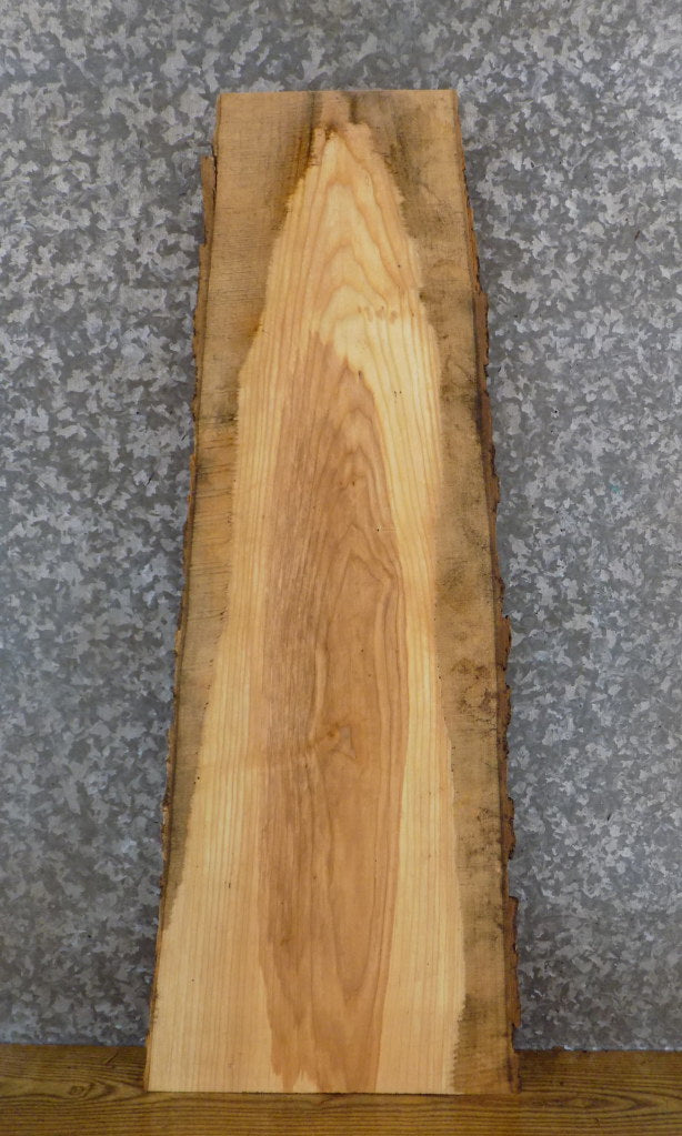 Natural Edge Bark Reclaimed Ash Side/Entry Table Top Slab 733