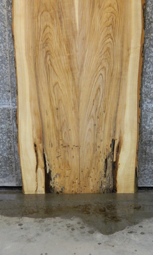 2- Natural Edge Bark Bookmatched Ash Table Top Slabs CLOSEOUT 786-787