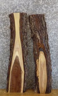 Thumbnail for 2- Natural Edge Black Walnut Rustic Floating Shelf Wood Slabs 8600-8601