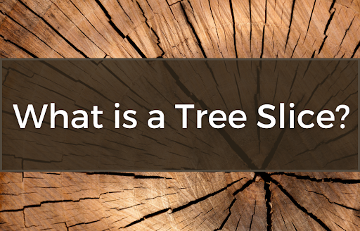 What is a Tree Slice?
