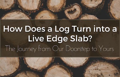 How does a Log turn into a live edge slab