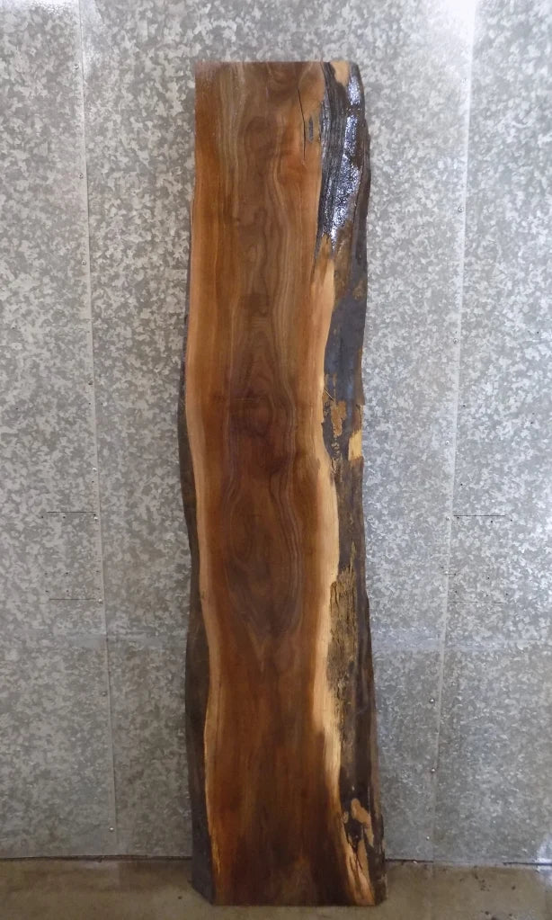 Live Edge Black Walnut Kitchen Counter/Bar Top Slab 1008