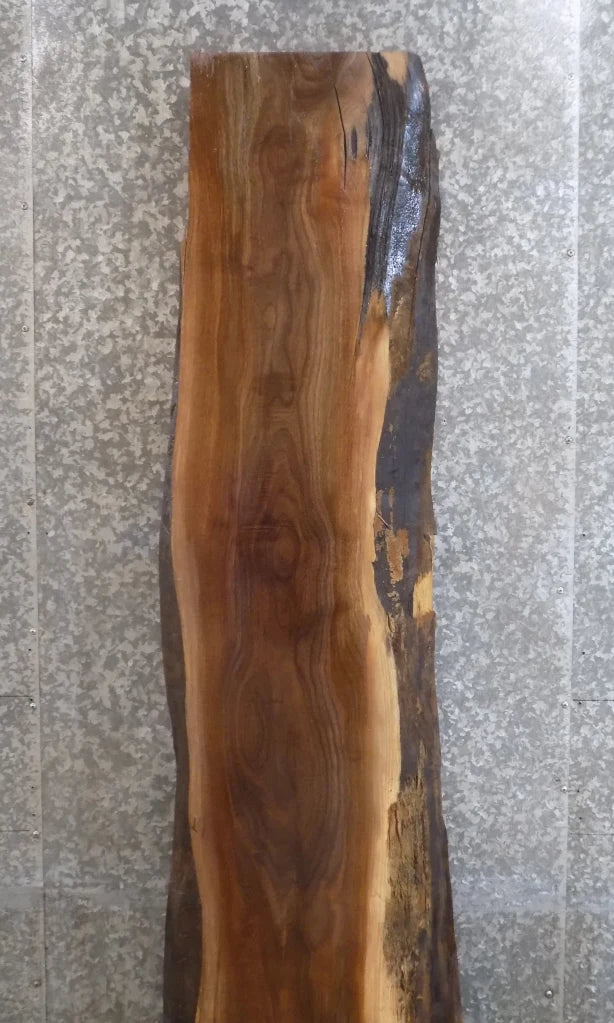 Live Edge Black Walnut Kitchen Counter/Bar Top Slab 1008