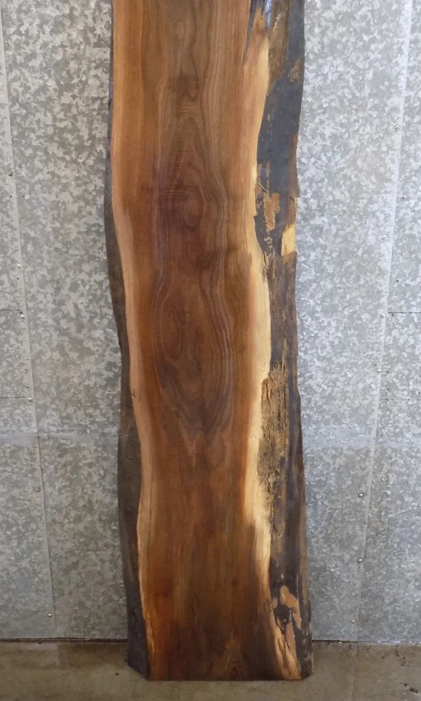 Live Edge Black Walnut Kitchen Counter/Bar Top Slab 1008