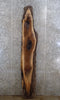 Thumbnail for Live Edge Black Walnut Epoxy Bar Top/Sofa Table Top Slab 1021