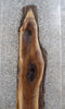 Thumbnail for Live Edge Black Walnut Epoxy Bar Top/Sofa Table Top Slab 1021