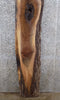 Thumbnail for Live Edge Black Walnut Epoxy Bar Top/Sofa Table Top Slab 1021