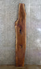 Thumbnail for Live Edge Black Walnut Epoxy Bar Top/Sofa Table Top Slab 1021