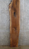 Thumbnail for Live Edge Black Walnut Epoxy Bar Top/Sofa Table Top Slab 1021